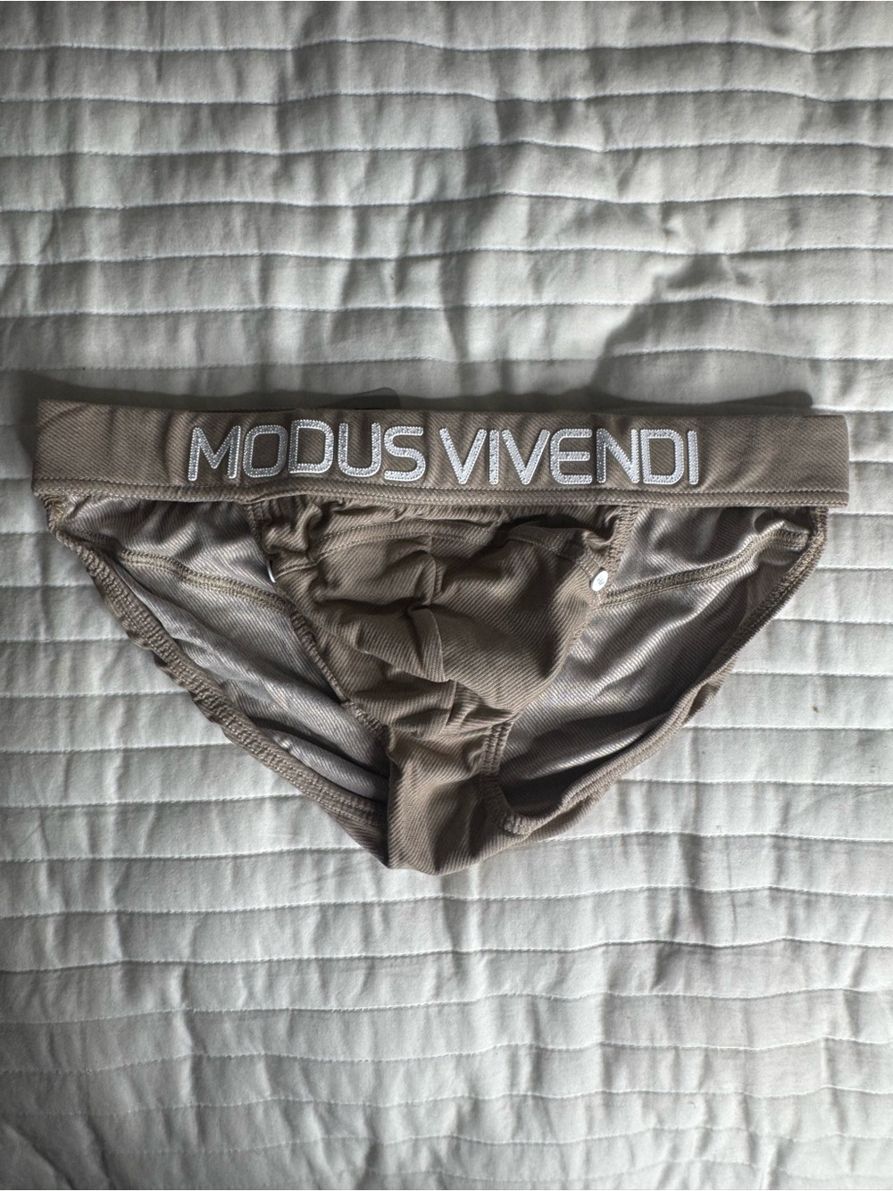 MODUS VIVENDI Men's Taupe Brief - Branded Low-Rise Support